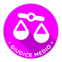 Giudice medio